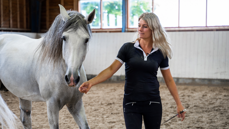 When Horses Choose - the method with Mia Lykke Nielsen
